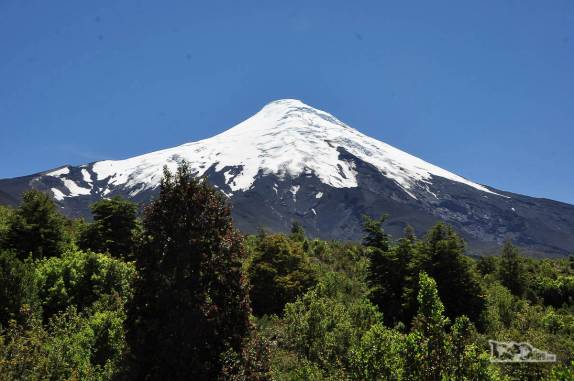 Sobre a copa das árvores se destaca o cume nevado do vulcão Osorno, na região de Puerto Varas, no sul do Chile